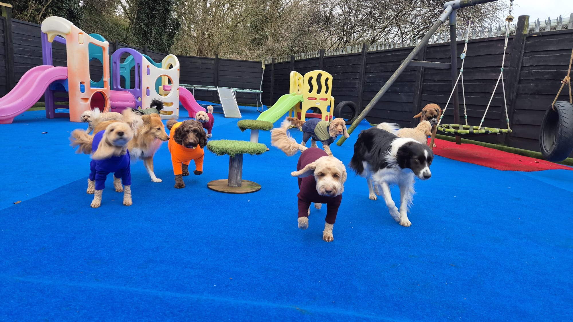 Private group sessions